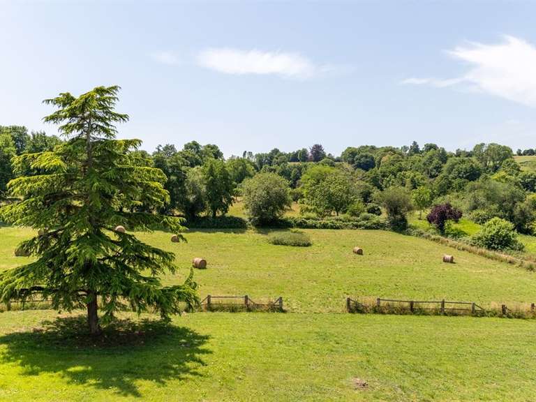 Maison Beaumont-en-Auge - 4 chambres - 290m²