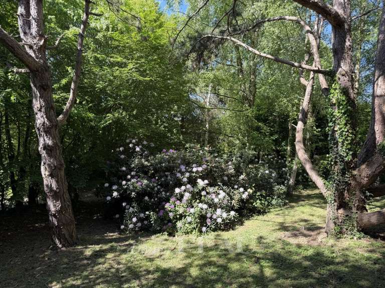 Maison Beaumont-en-Auge - 6 chambres - 400m²