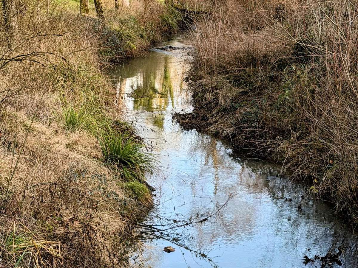 Manor Beaumont-Sardolles