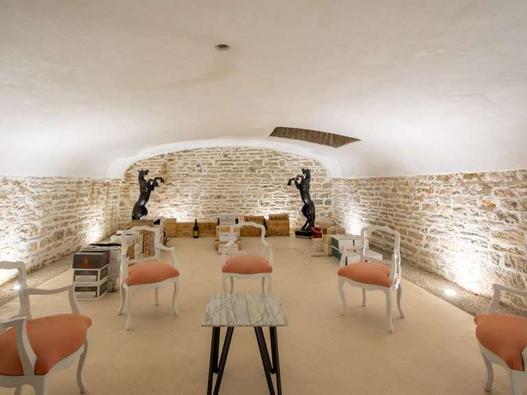 House Beaune - 9 bedrooms - 460m²