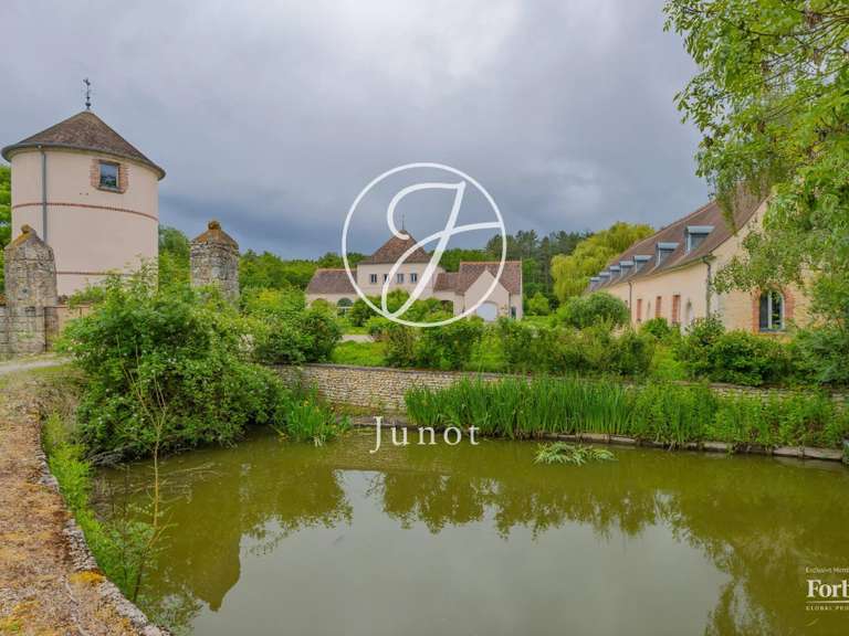 Propriété Beaune-la-Rolande - 6 chambres - 400m²