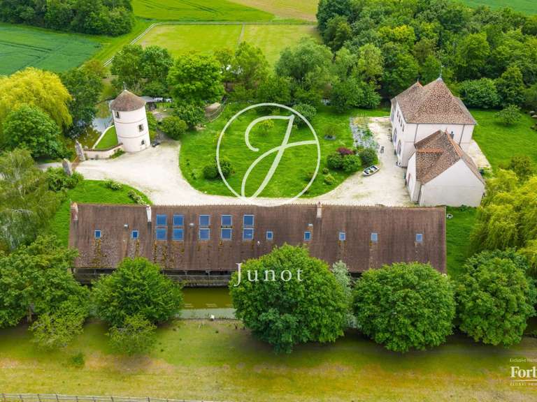 Propriété Beaune-la-Rolande - 6 chambres - 400m²