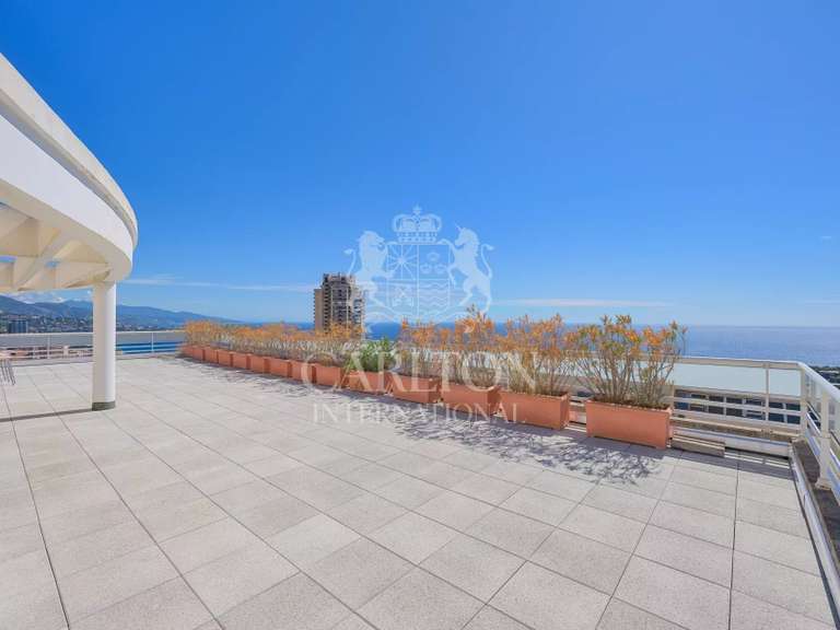Apartment with Sea view Beausoleil - 3 bedrooms - 240m²