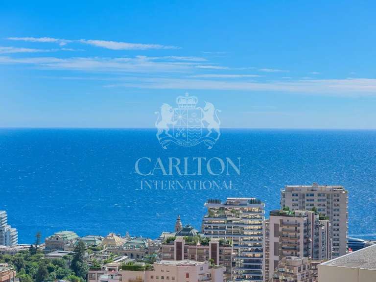 Appartement avec Vue sur mer Beausoleil - 3 chambres - 240m²