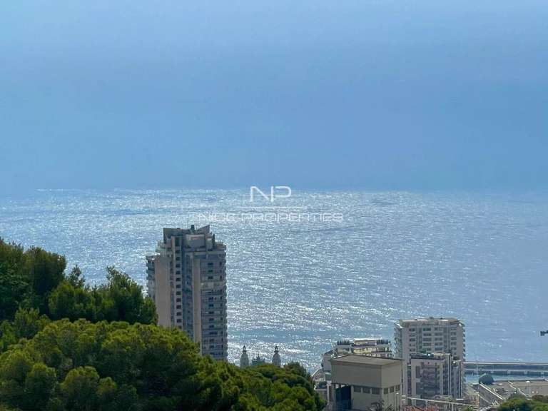Villa with Sea view Beausoleil - 5 bedrooms - 260m²