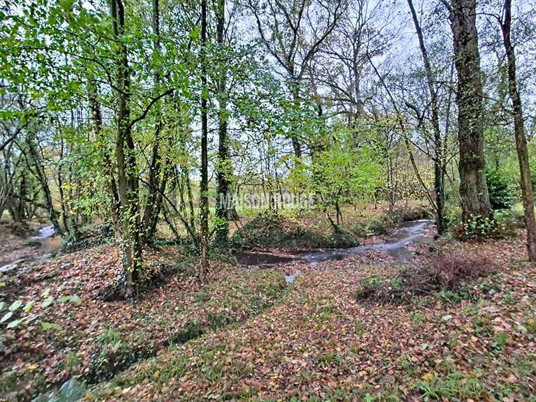 House Bécherel - 4 bedrooms