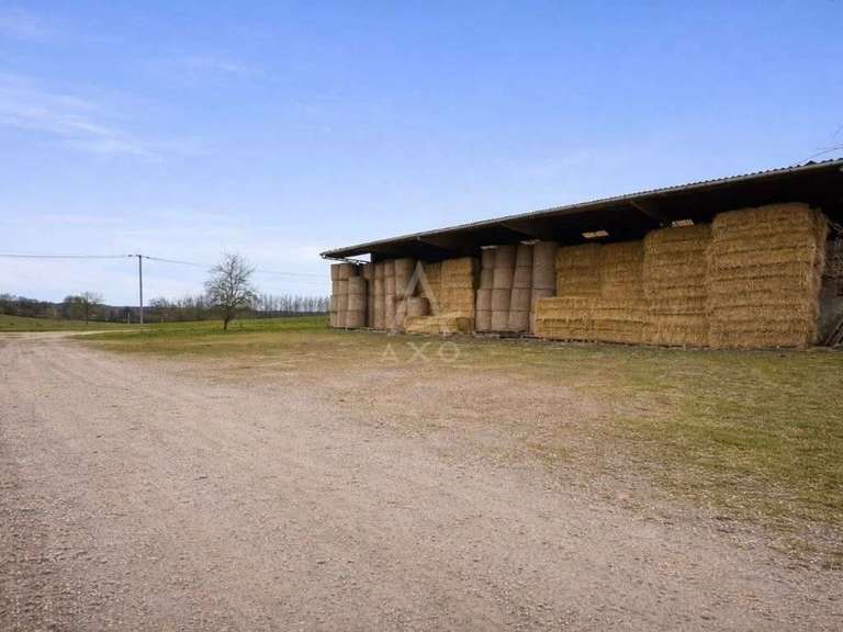 House Bellême - 3 bedrooms