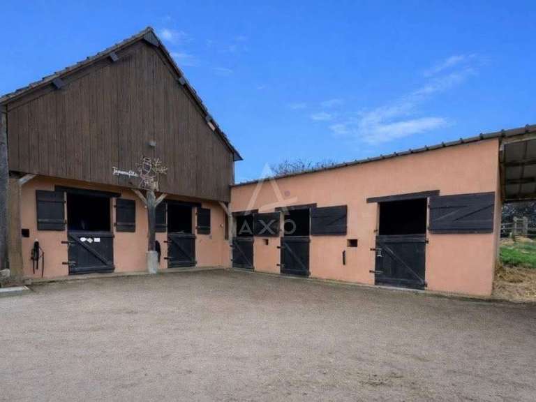 Maison Bellême - 3 chambres