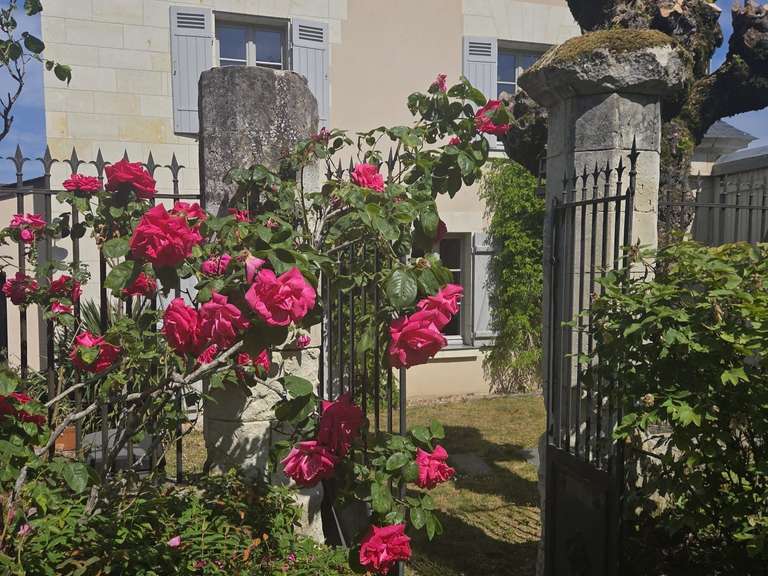 House Bellevigne-les-Châteaux - 6 bedrooms - 243m²