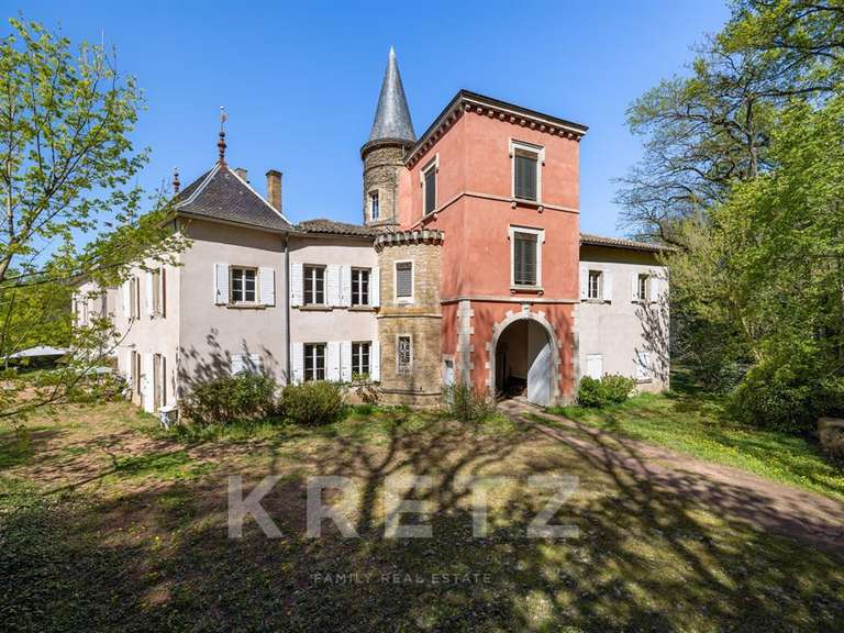 Castle Belleville - 10 bedrooms - 632m²