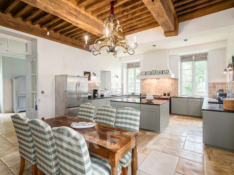 Castle Belleville-en-Beaujolais - 7 bedrooms - 1000m²