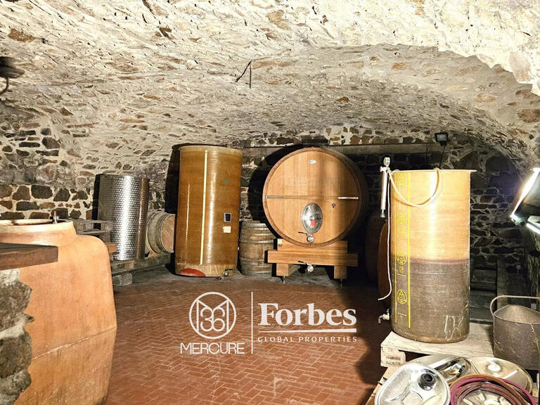 Domaine viticole Belleville-en-Beaujolais - 4 chambres - 580m²
