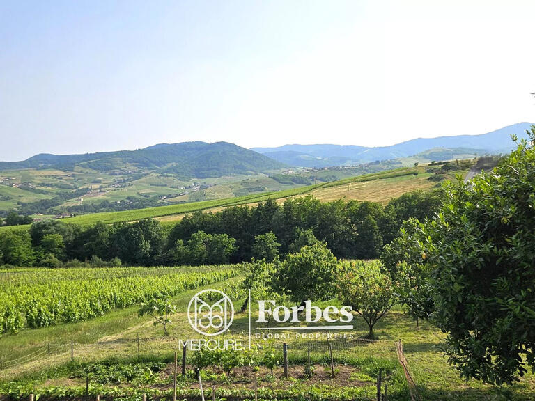 Domaine viticole Belleville-en-Beaujolais - 4 chambres - 580m²