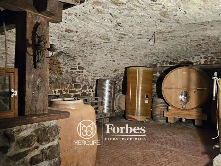 Domaine viticole Belleville-en-Beaujolais - 4 chambres - 580m²