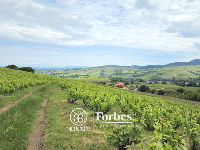 Domaine viticole Belleville-en-Beaujolais - 4 chambres - 580m²