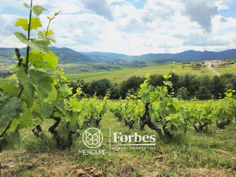 Domaine viticole Belleville-en-Beaujolais - 4 chambres - 580m²