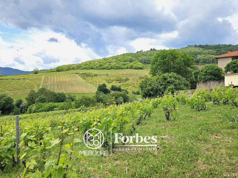 Domaine viticole Belleville-en-Beaujolais - 4 chambres - 580m²