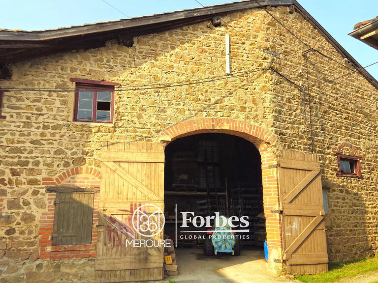 Domaine viticole Belleville-en-Beaujolais - 4 chambres - 580m²