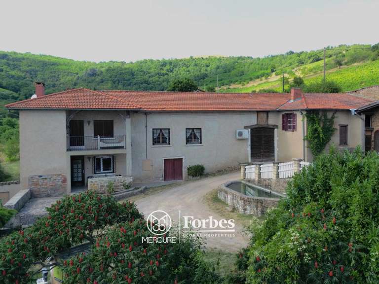 Domaine viticole Belleville-en-Beaujolais - 4 chambres - 580m²