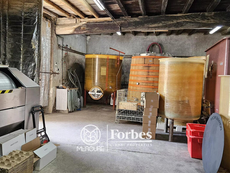 Domaine viticole Belleville-en-Beaujolais - 4 chambres - 580m²