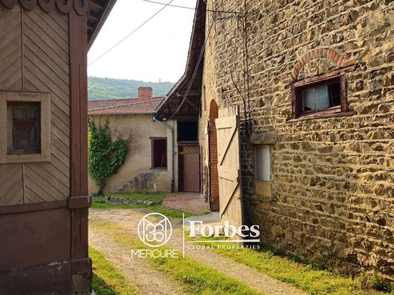 Domaine viticole Belleville-en-Beaujolais - 4 chambres - 580m²