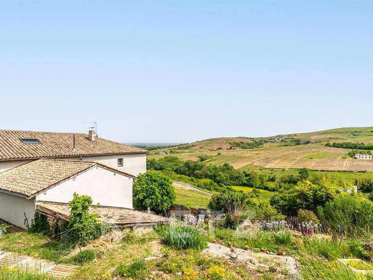 House Belleville-en-Beaujolais - 9 bedrooms - 522m²