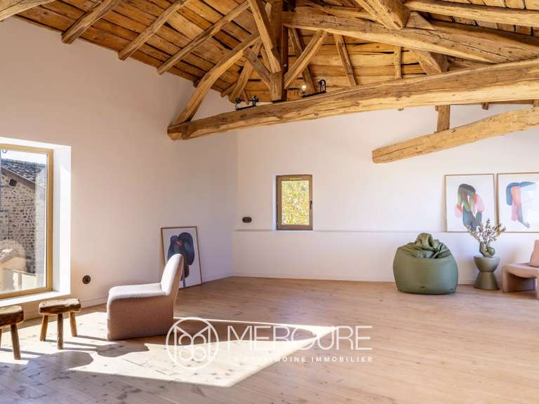 Maison Belleville-en-Beaujolais - 4 chambres - 256m²