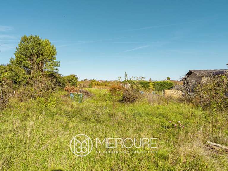 Maison Belleville-en-Beaujolais - 4 chambres - 256m²