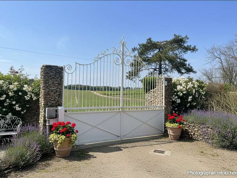 Maison Belvèze-du-Razès - 11 chambres - 462m²
