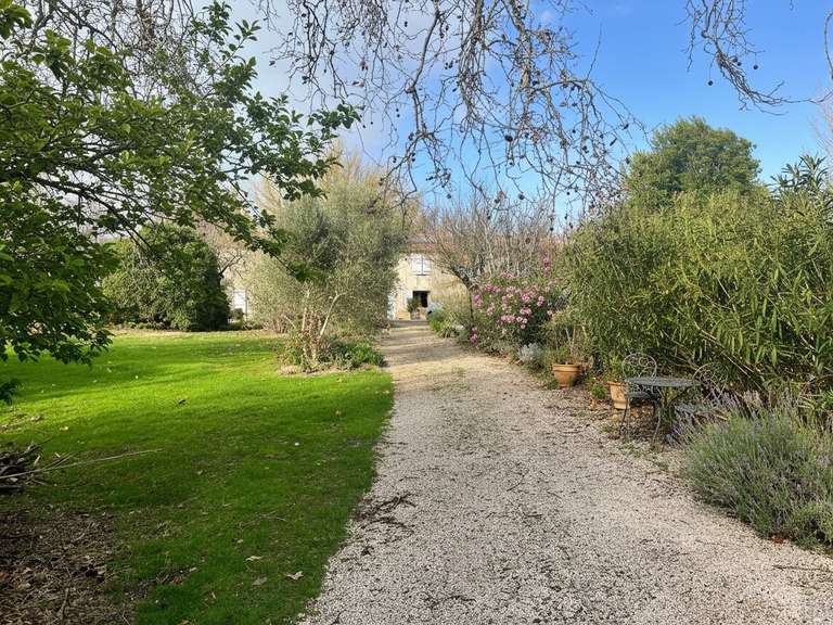 Maison Belvèze-du-Razès - 11 chambres - 462m²