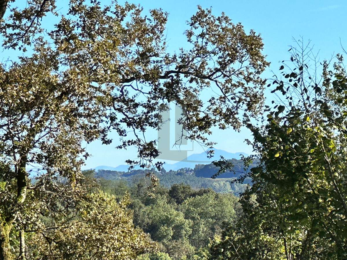 House Bénesse-lès-Dax