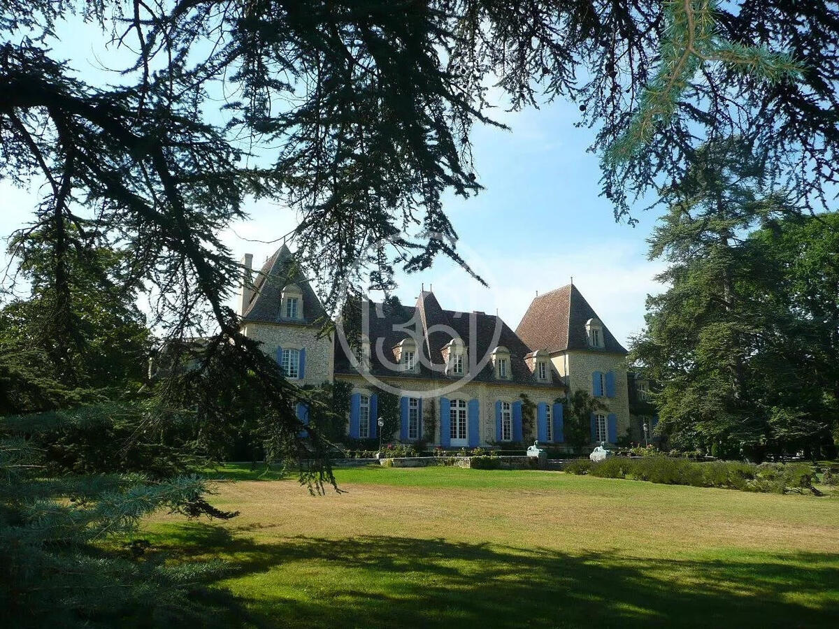 Castle Bergerac