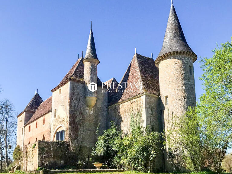 Château Bergerac - 3 chambres - 365m²