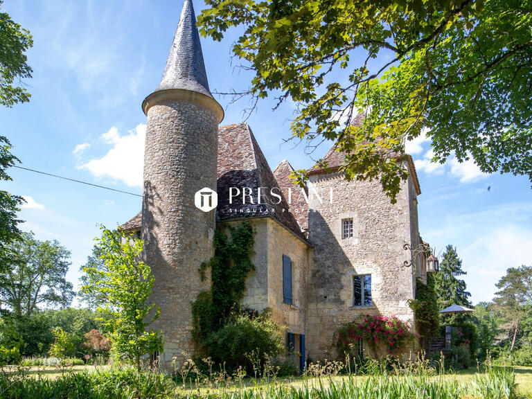 Château Bergerac - 3 chambres - 365m²