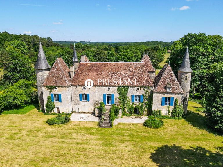Château Bergerac - 3 chambres - 365m²