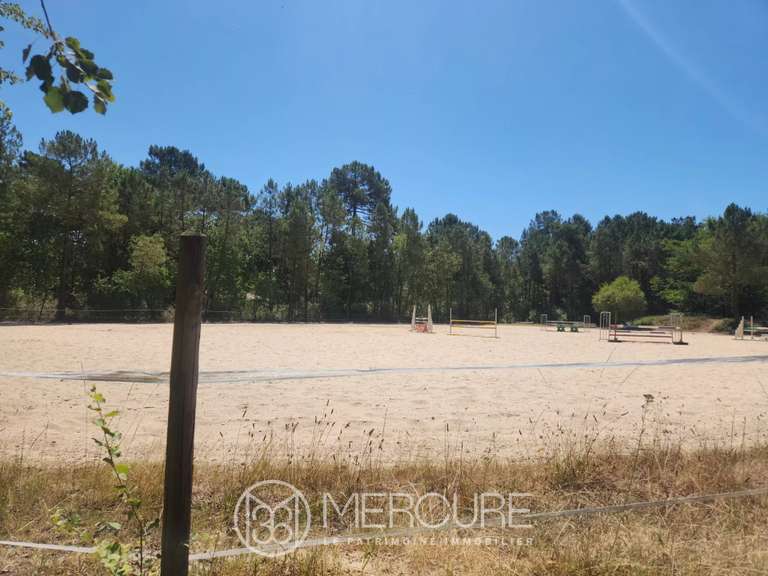 Castle Bergerac - 45 bedrooms - 3600m²
