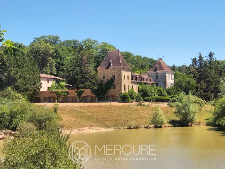 Castle Bergerac - 45 bedrooms - 3600m²