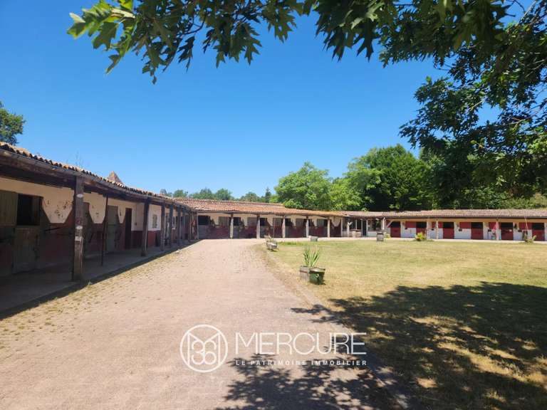 Château Bergerac - 45 chambres - 3600m²