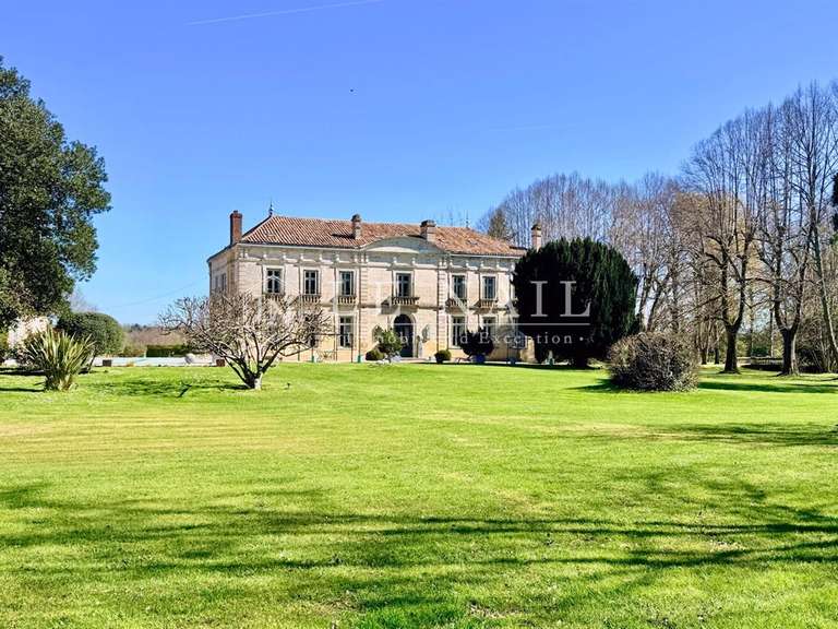 Castle Bergerac - 11 bedrooms - 700m²