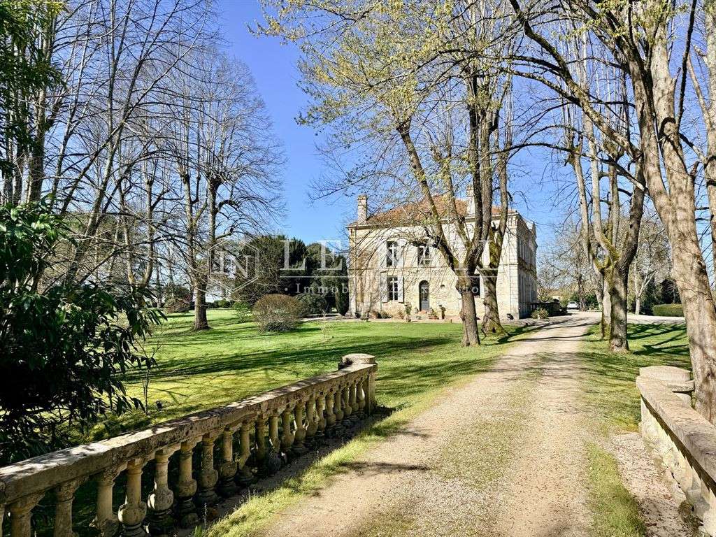 Castle Bergerac