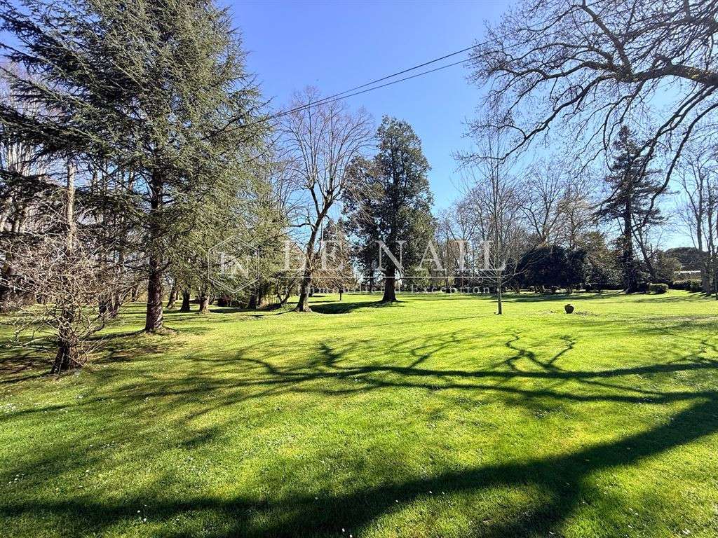 Castle Bergerac
