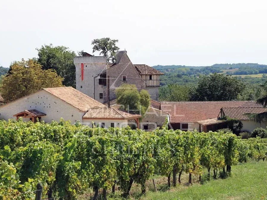 Vineyard Bergerac