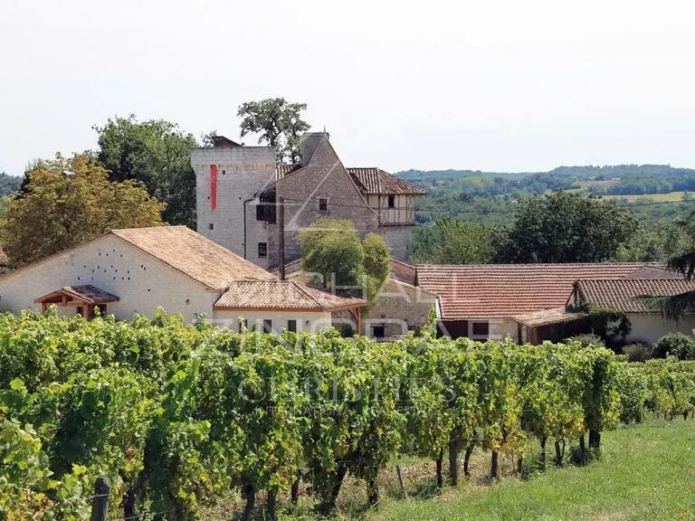 Vente Domaine viticole Bergerac