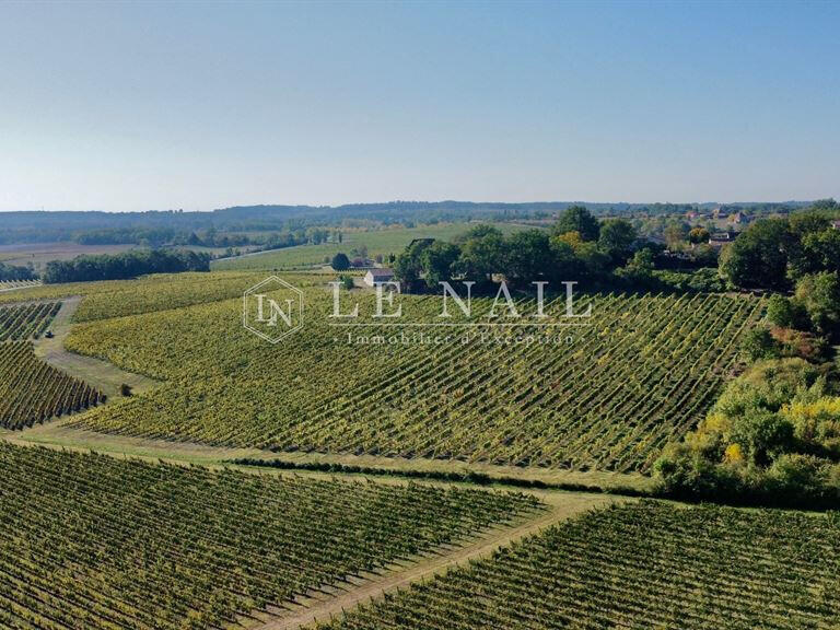 Vente Domaine viticole Bergerac - 2 chambres