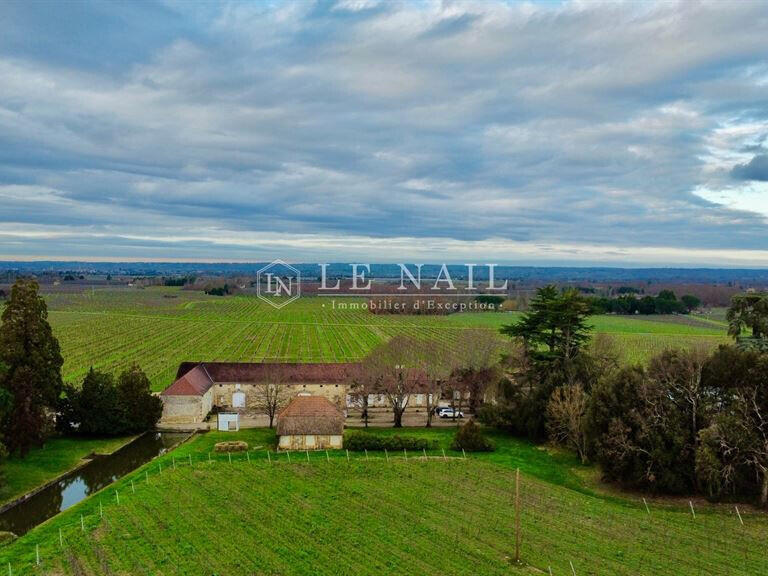 Vineyard Bergerac