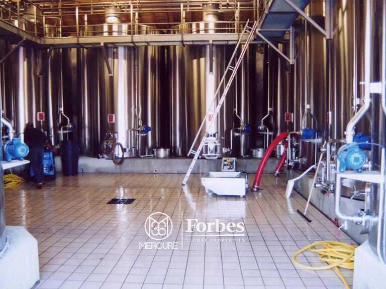 Domaine viticole Bergerac - 1100m²