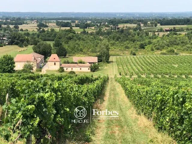 Domaine viticole Bergerac - 1100m²