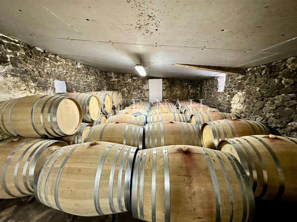 Domaine viticole Bergerac