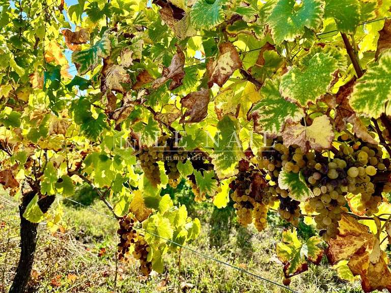 Domaine viticole Bergerac - 2 chambres - 95m²