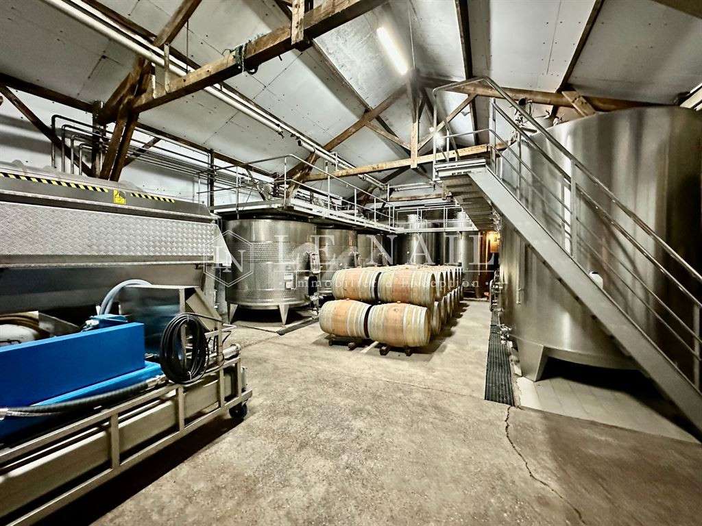 Domaine viticole Bergerac